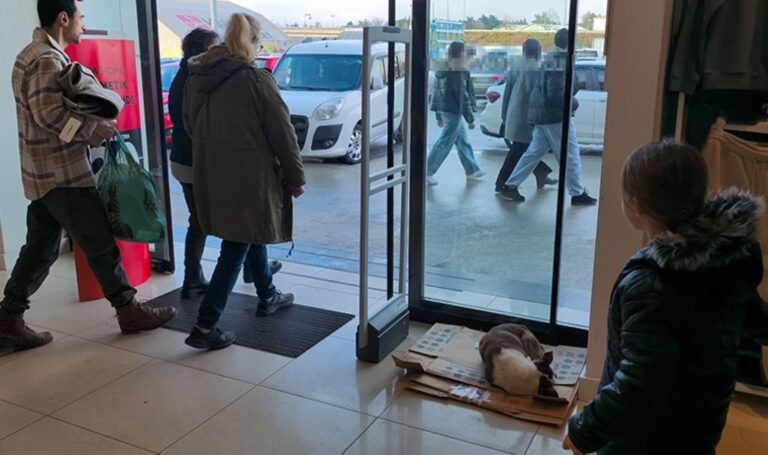 Edirne'de yürek ısıtan eylem: Yağmurda ıslanan ve üşüyen köpeği dükkana götürdüler – Son Dakika Türkiye Haberleri