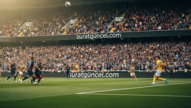 suratbet - surat bet