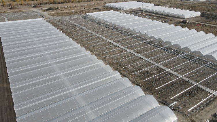 Doğu Anadolu'nun en büyük toplu sera alanı inşaatı sürüyor